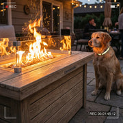 Arterki Outdoor SKU-15 Pet-Friendly Storage Trunk