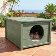 Arterki Outdoor SKU-07 Dining Chair with Pet-Shelf
