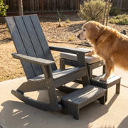 Arterki Outdoor SKU-04 Low-Entry Rocker for Senior Pets